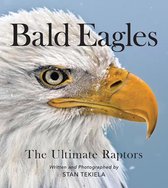 Favorite Wildlife- Bald Eagles