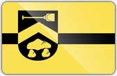 Vlag gemeente Borgerodoorn - 200 x 300 cm - Polyester