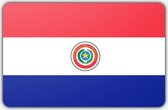 Vlag Paraguay - 100 x 150 cm - Polyester