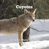 Coyotes 8.5 X 8.5 Calendar September 2021 -December 2022: Monthly Calendar with U.S./UK/ Canadian/Christian/Jewish/Muslim Holidays-Fox Animal Nature