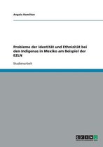 Probleme Der Identitat Und Ethnizitat Bei Den Indigenas in Mexiko Am Beispiel Der Ezln