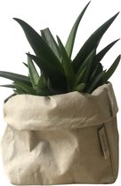 de Zaktus - Crassula - vetplant  - paper bag licht grijs - Maat XL