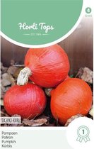 Hortitops Zaden - Pompoenen Oranje Zon