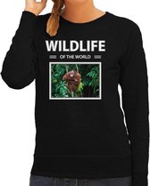 Dieren foto sweater Orang oetan aap - zwart - dames - wildlife of the world - cadeau trui Orang oetans apen liefhebber S