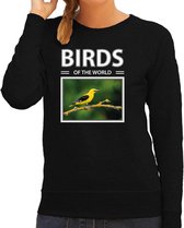 Dieren foto sweater Wielewaal - zwart - dames - birds of the world - cadeau trui Wielewaal vogels liefhebber XS