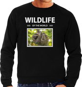 Dieren foto sweater Luiaard - zwart - heren - wildlife of the world - cadeau trui Luiaarden liefhebber S