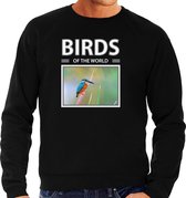 Dieren foto sweater IJsvogel - zwart - heren - birds of the world - cadeau trui vogel liefhebber S