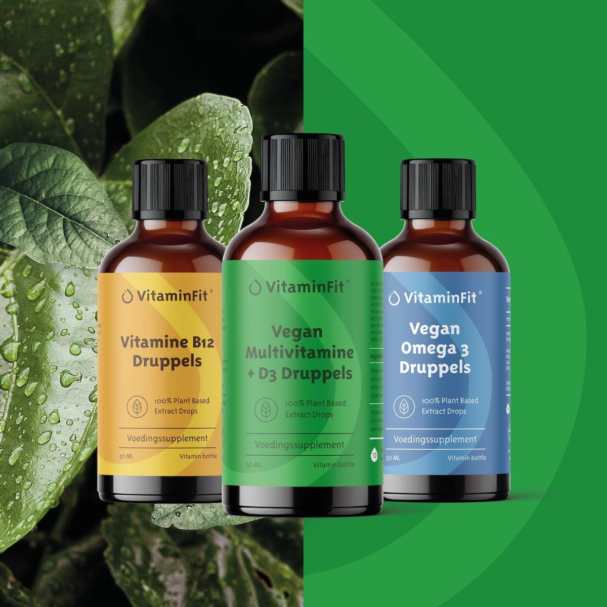 Goedkoopste VitaminFit Vegan Volwassenen Pakket - 100 Natuurlijk & Plantaardig - Combinatie Mulitvitamine D3 Vitamine B12 Omega 3 - Druppels