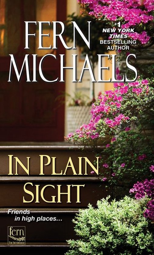 Sisterhood 25 - In Plain Sight - cover