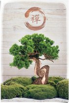 Poster Bonsai boompje