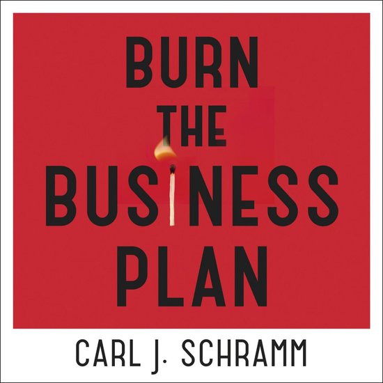 Burn The Business Plan - cover