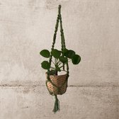 Macramé Plantenhanger Jute Antiekgroen - Poefenzo