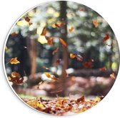 Forex Wandcirkel - Zwevende Herfstbladeren in Bos - 20x20cm Foto op Wandcirkel (met ophangsysteem)