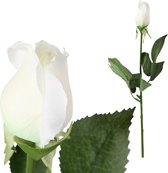 PTMD Rose bloem white closed bloem