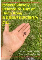 Insects Closely Related to Turf of Hong Kong