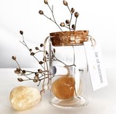 Jar of Succes - Citrine