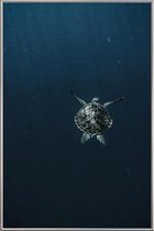 JUNIQE - Poster met kunststof lijst Flying -30x45 /Blauw & Zwart