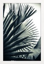 JUNIQE - Poster met houten lijst Palm Shade 2 -13x18 /Grijs & Groen