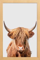 JUNIQE - Poster in houten lijst Highland Cow -40x60 /Bruin