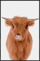 JUNIQE - Poster in kunststof lijst Young Highland Cow -30x45 /Bruin