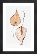 JUNIQE - Poster in houten lijst Delicate Leaves -20x30 /Bruin & Groen