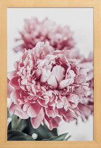 JUNIQE - Poster in houten lijst Peony in Focus -40x60 /Grijs & Roze