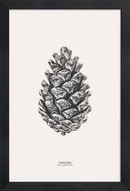 JUNIQE - Poster met houten lijst Pinecone -13x18 /Grijs & Ivoor