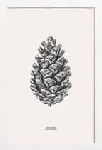 JUNIQE - Poster in houten lijst Pinecone -20x30 /Grijs & Ivoor