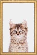 JUNIQE - Poster met houten lijst Kitten II -40x60 /Bruin & Grijs