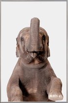 JUNIQE - Poster met kunststof lijst Elephant -60x90 /Grijs
