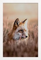 JUNIQE - Poster met houten lijst Fox in Reeds -40x60 /Bruin & Oranje
