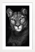 JUNIQE - Poster in houten lijst Lioness -40x60 /Grijs & Zwart