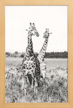 JUNIQE - Poster met houten lijst Giraffenpaar -13x18 /Grijs & Wit