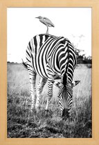 JUNIQE - Poster met houten lijst Zebra and Friend -13x18 /Wit & Zwart