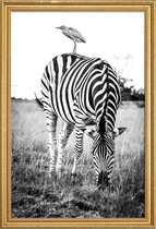 JUNIQE - Poster met houten lijst Zebra and Friend -20x30 /Wit & Zwart