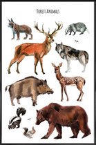 JUNIQE - Poster in kunststof lijst Forest Animals -20x30 /Bruin &