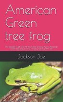 American Green tree frog