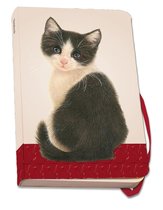 Notitieboek A6, zachte kaft: Franciens katten, Francien van Westering