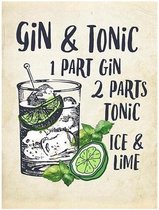 Cocktails Poster Gin Tonic Lime - 40x50cm Canvas - Multi-color