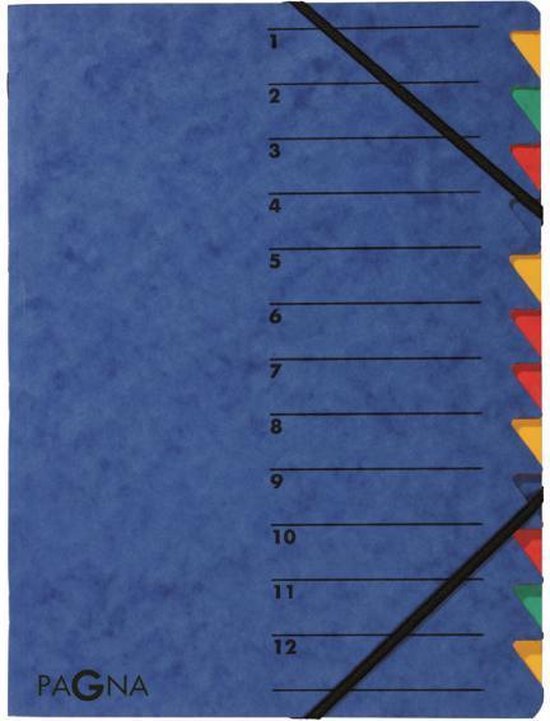 Pagna Ordnungsmappe 12 Fächer A4 - Easy Grey In Blau | Mit Griffregister