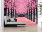 Professioneel Fotobehang laan met roze bloesem - roze - Sticky Decoration - fotobehang - decoratie - woonaccesoires - inclusief gratis hobbymesje - 385 cm breed x 260 cm hoog - in 7 verschill