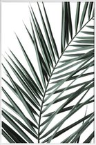 JUNIQE - Poster in kunststof lijst Phoenix -30x45 /Groen & Wit
