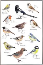 JUNIQE - Poster met kunststof lijst Vogel illustratie -20x30