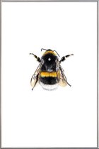 JUNIQE - Poster met kunststof lijst Bumblebee -60x90 /Geel & Wit