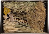 Dijk | Natural Collection | Droogbloemen | 38x26x5cm | fleurig | gedroogd