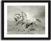 Foto in frame , Witte paarden  , 70x100cm , Zwart wit  , Premium print