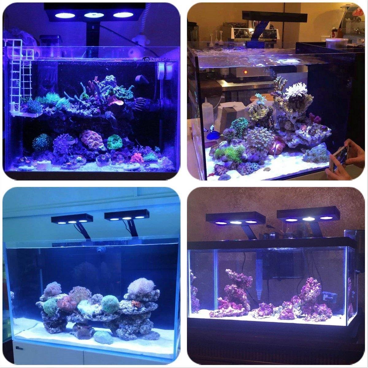 een kopje in plaats daarvan Catastrofaal PetPetrol Zee aquariumverlichting - Aquariumverlichting - LED verlichting  aquarium -... | bol.com