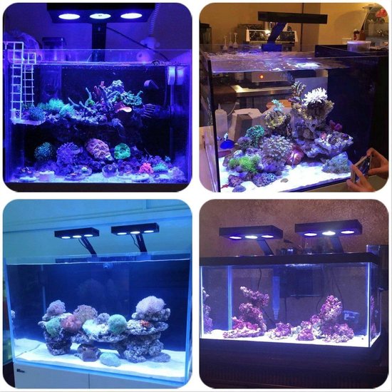 Mening Zenuwinzinking Vlak PetPetrol Zee aquariumverlichting - Aquariumverlichting - LED verlichting  aquarium -... | bol.com