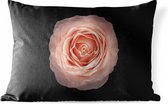Sierkussen Roze roos voor buiten - Ronde vorm Roze roze bloem op zwarte achtergrond, bovenaanzicht Close-up - 50x30 cm - rechthoekig weerbestendig tuinkussen / tuinmeubelkussen van polyester