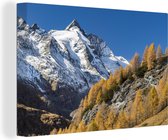 Canvas Schilderij Herfstkleurige dennen in het Nationaal park Hohe Tauern in Oostenrijk - 120x80 cm - Wanddecoratie